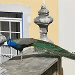 Solar Do Castelo - Heritage Collection - Alfama Hotell 4*