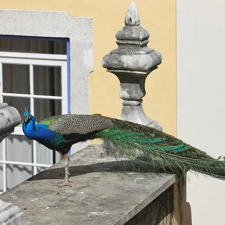 Solar Do Castelo - Heritage Collection - Alfama Hotel Lissabon