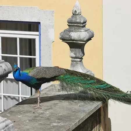 Heritage Solar Do Castelo Inn - Alfama Hotel 4*