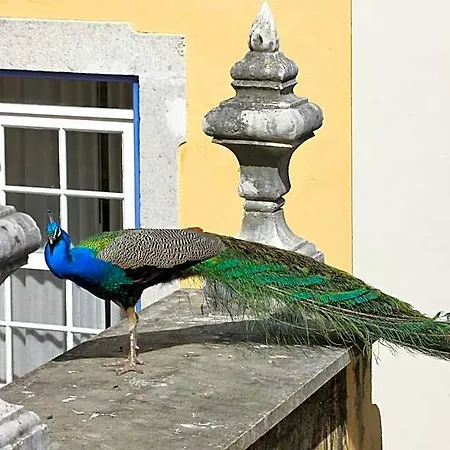 Hotel Solar Do Castelo - Heritage Collection - Alfama Lisboa