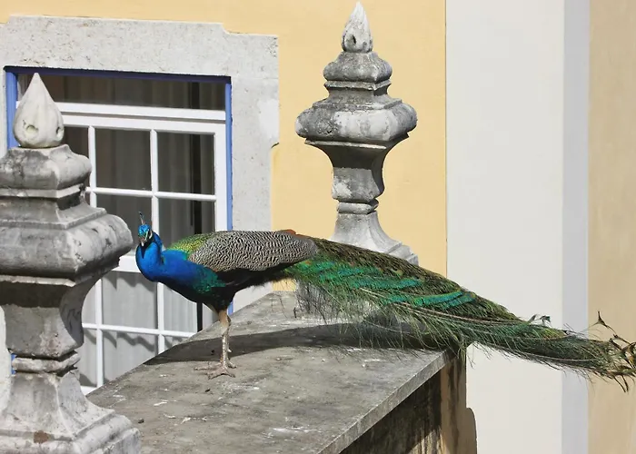 Solar Do Castelo - Heritage Collection - Alfama Отель 4*